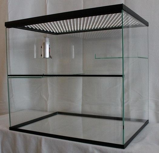 Muizenkooi 60x40x40